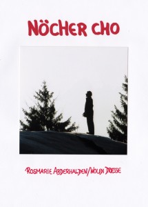 Publikation - Noecher Cho Seite 1